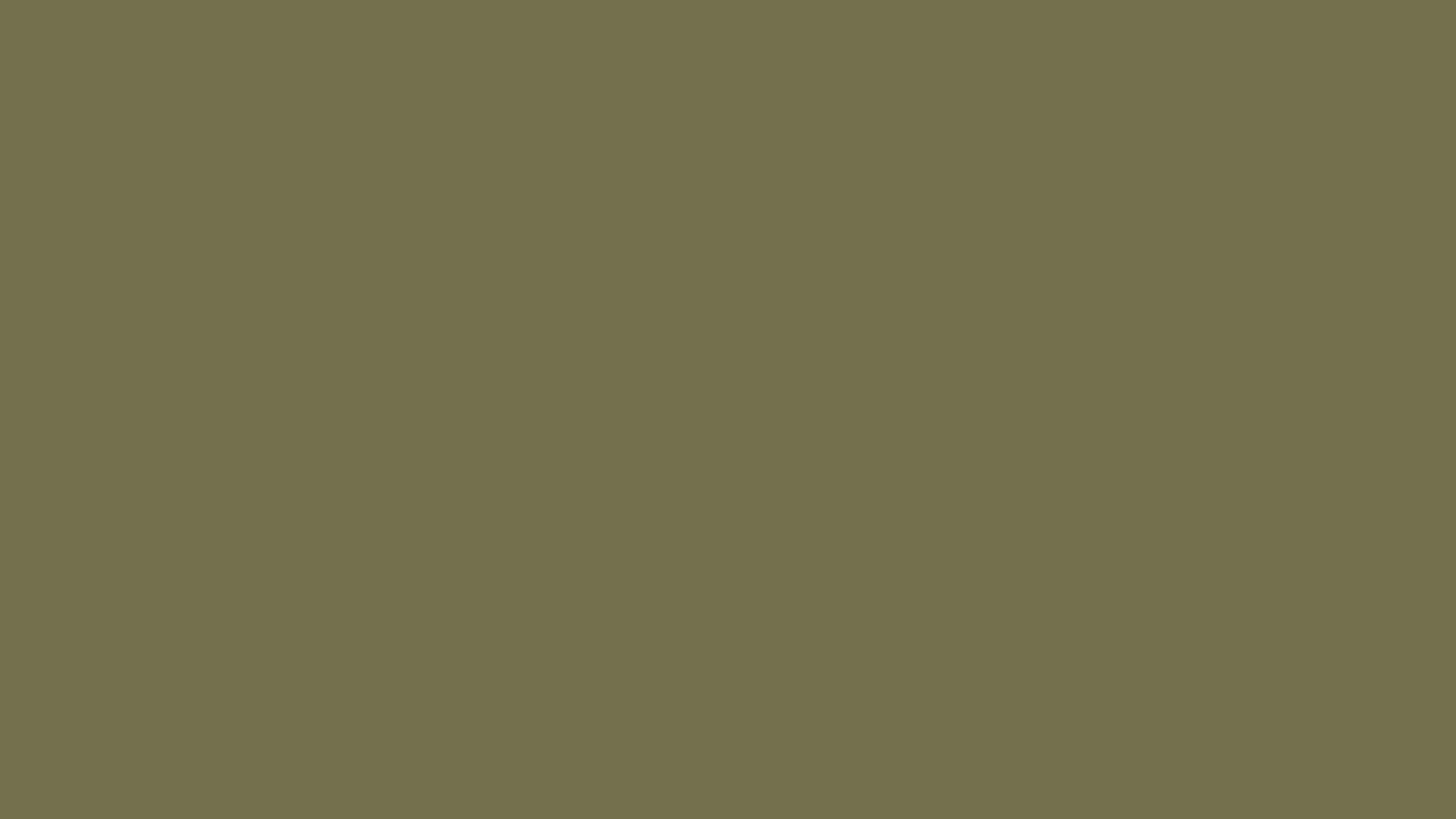 couleur kaki