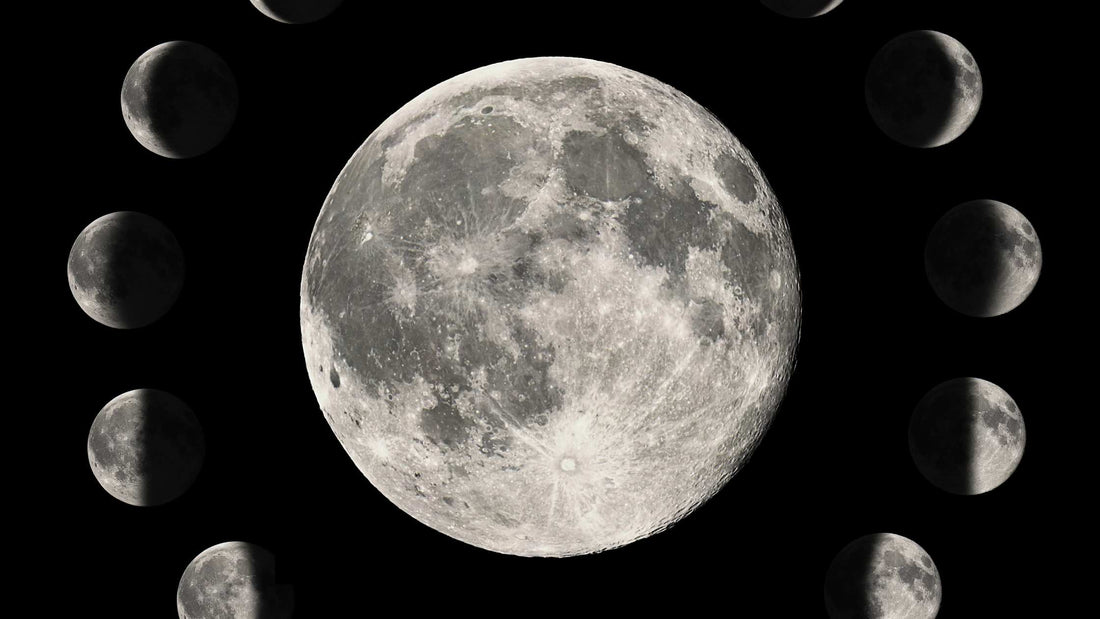 Les cycles du sommeil