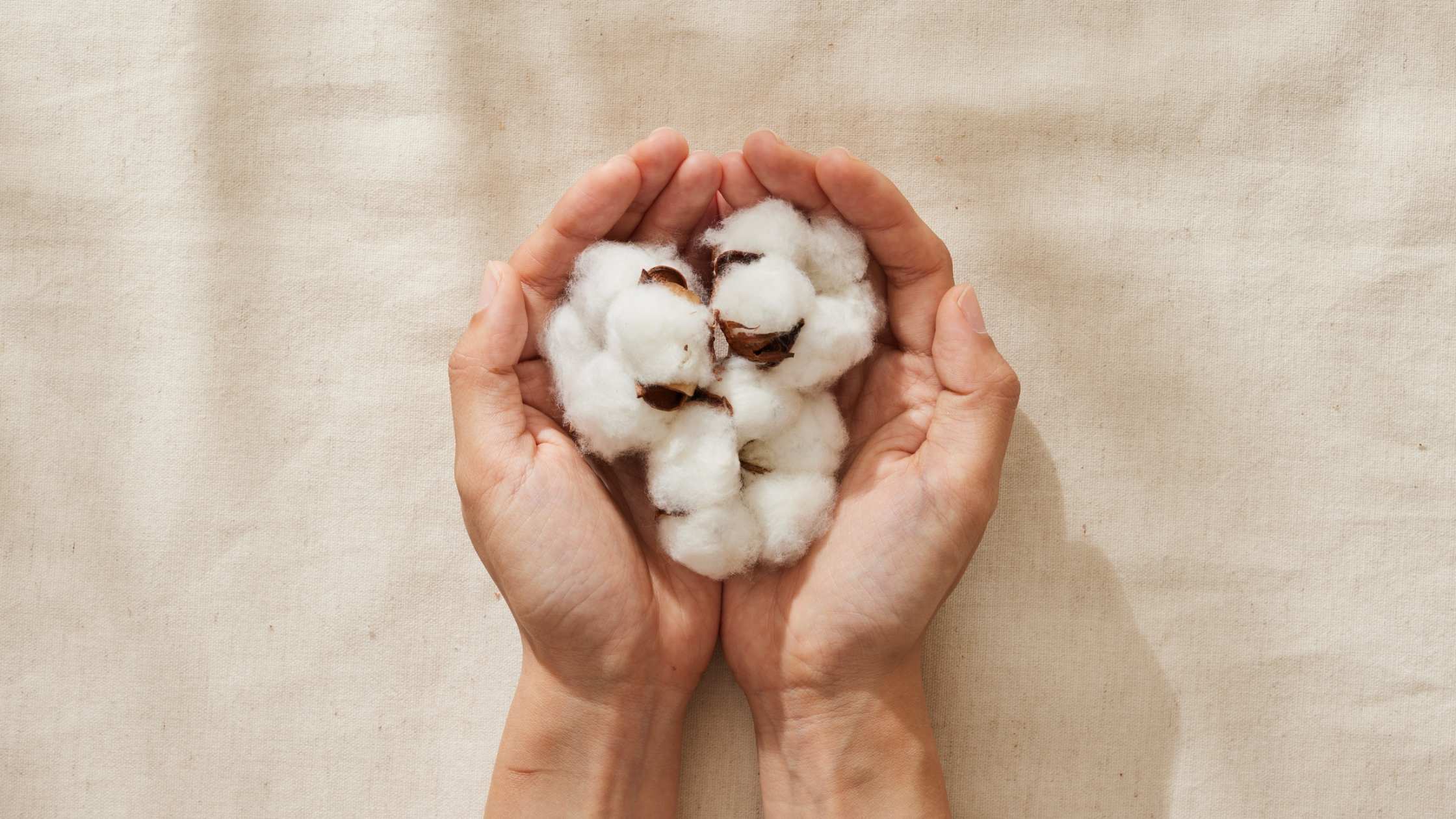 Percale de coton