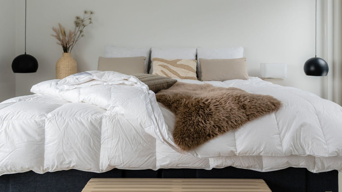 Quelle taille de couette choisir