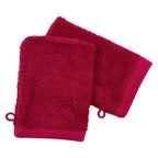 Set de 2 Gants de Toilette 16x21