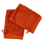 Set de 2 Gants de Toilette 16x21