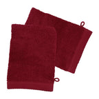 Set de 2 Gants de Toilette 16x21